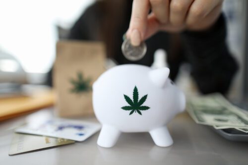 Cannabis Business Opportunities in NJ