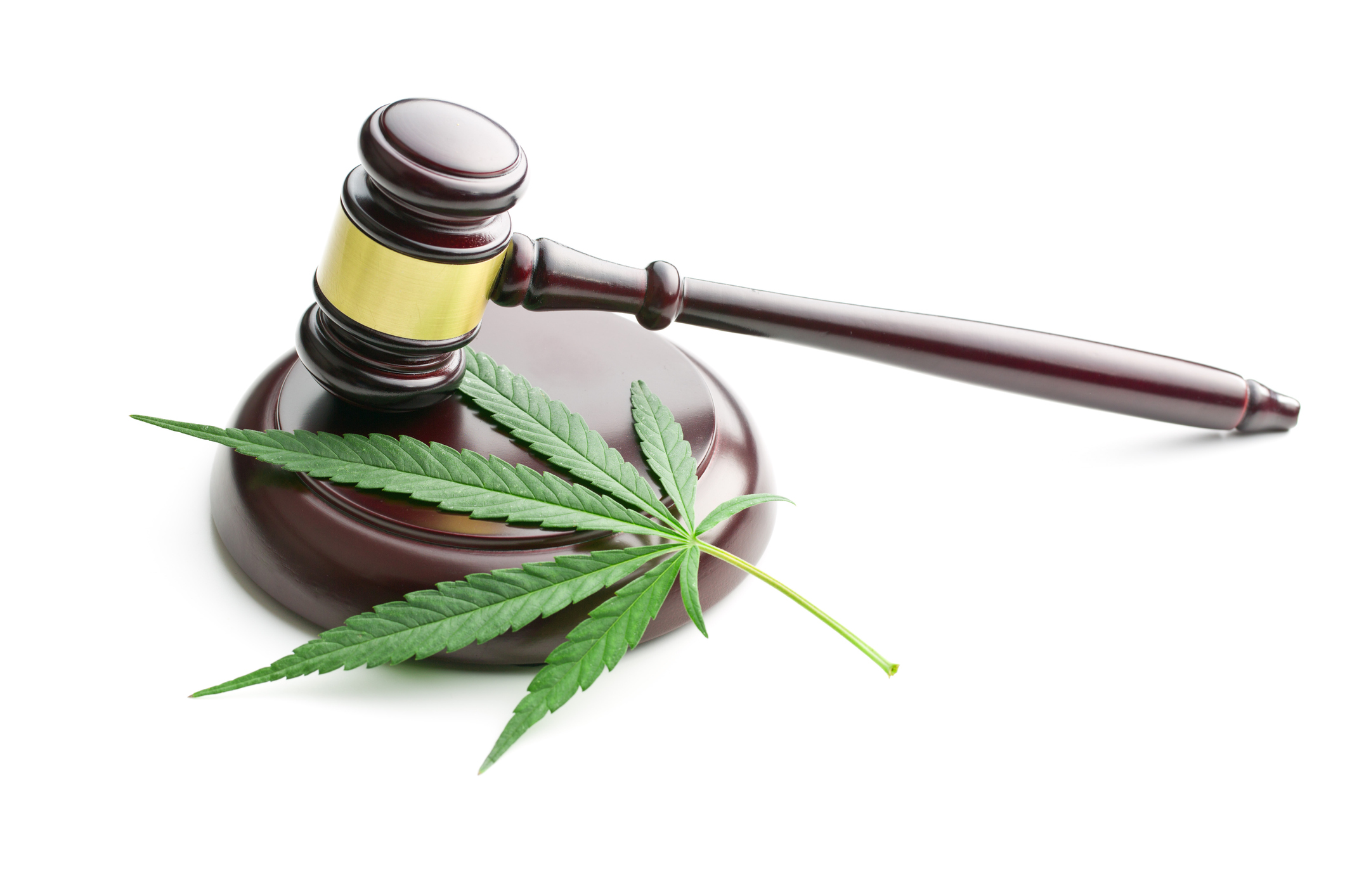 Cannabis Legalization Concerns of New Jersey Municipalities